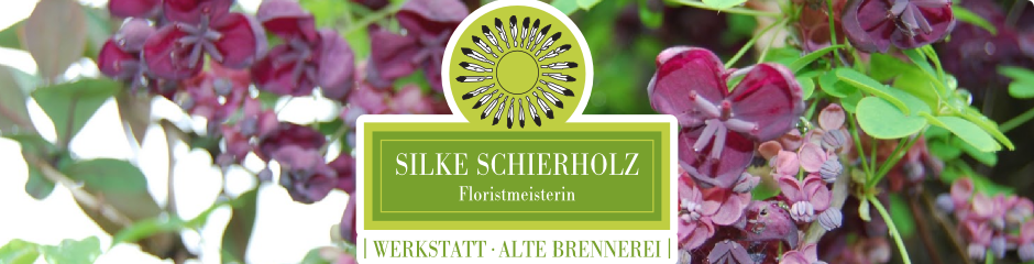 Silke Schierholz